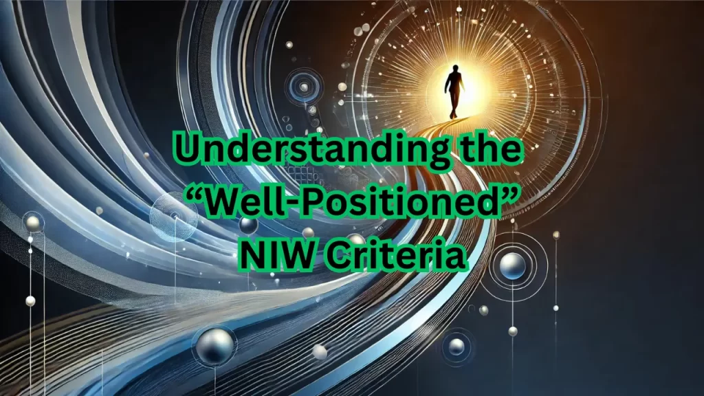 Well Positioned NIW Criteria