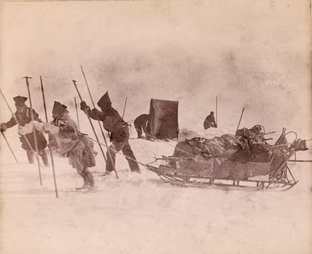 Oppbrudd fra leiren. Samuel Balto, Ole Ravna og Otto Sverdrup står klare til avmarsj med kjelkene spent til kroppen med tau. Grønland, 1888. Fotograf: Fridtjof Nansen / Eier: Nasjonalbiblioteket