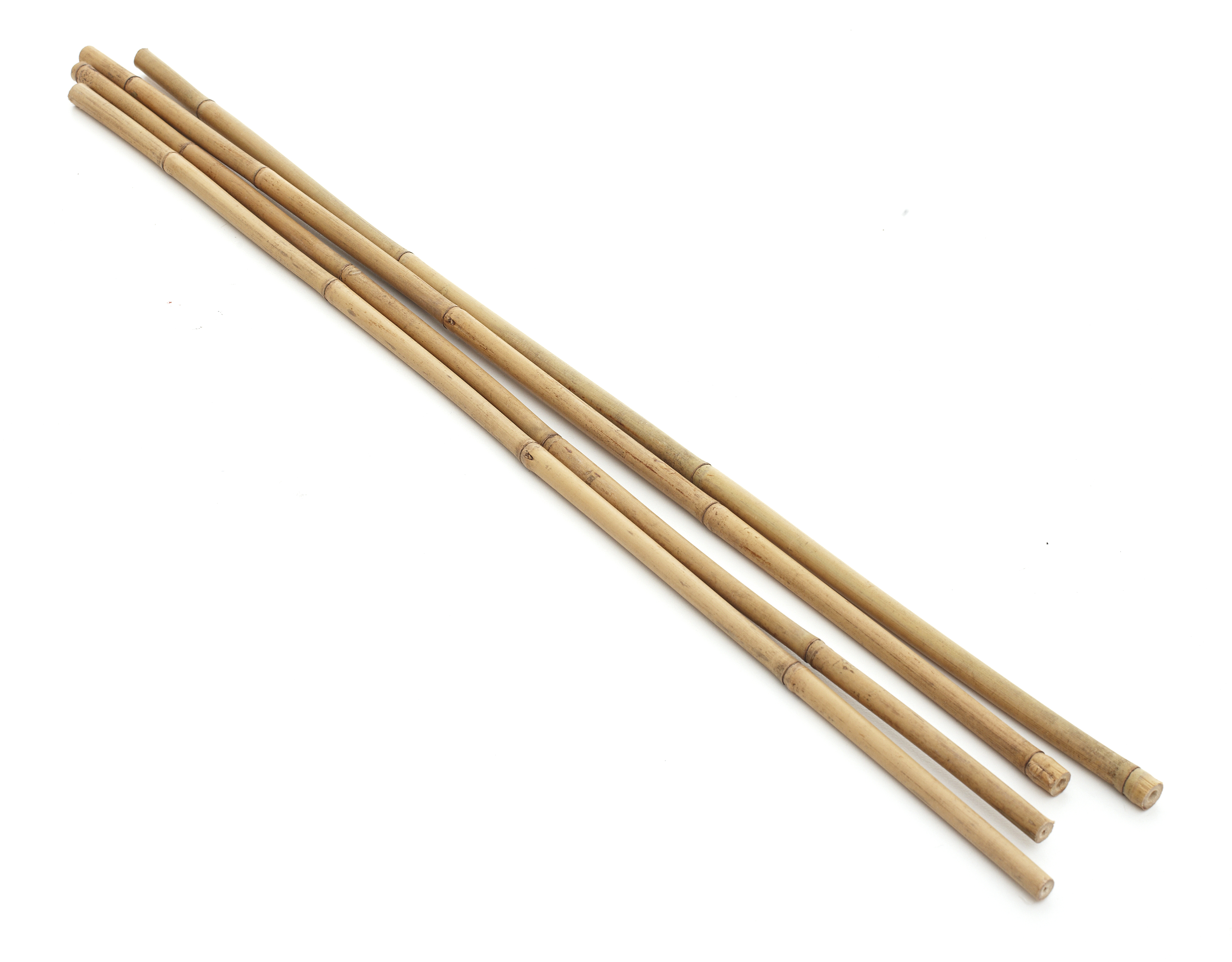 BAMBOOSTAKES