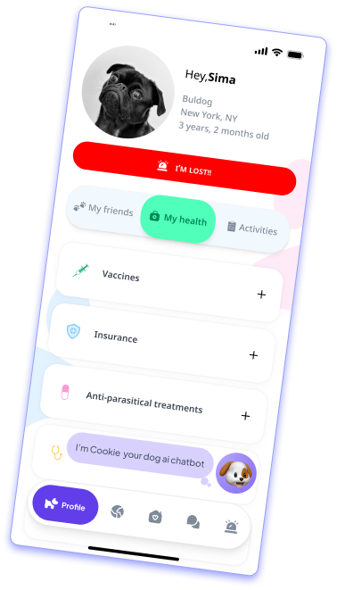 Social Screen