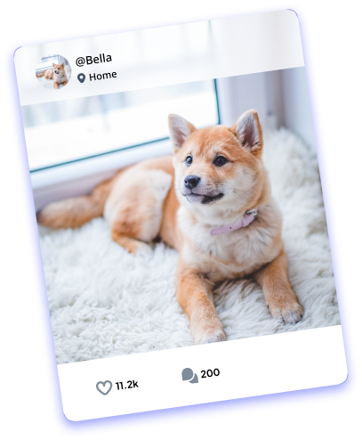 Social feed screen's