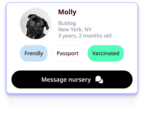 Pet adoption screen