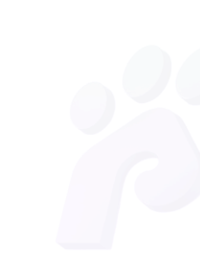 Pawarly Logo transparent
