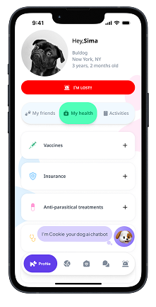 Customize your profile Mockup