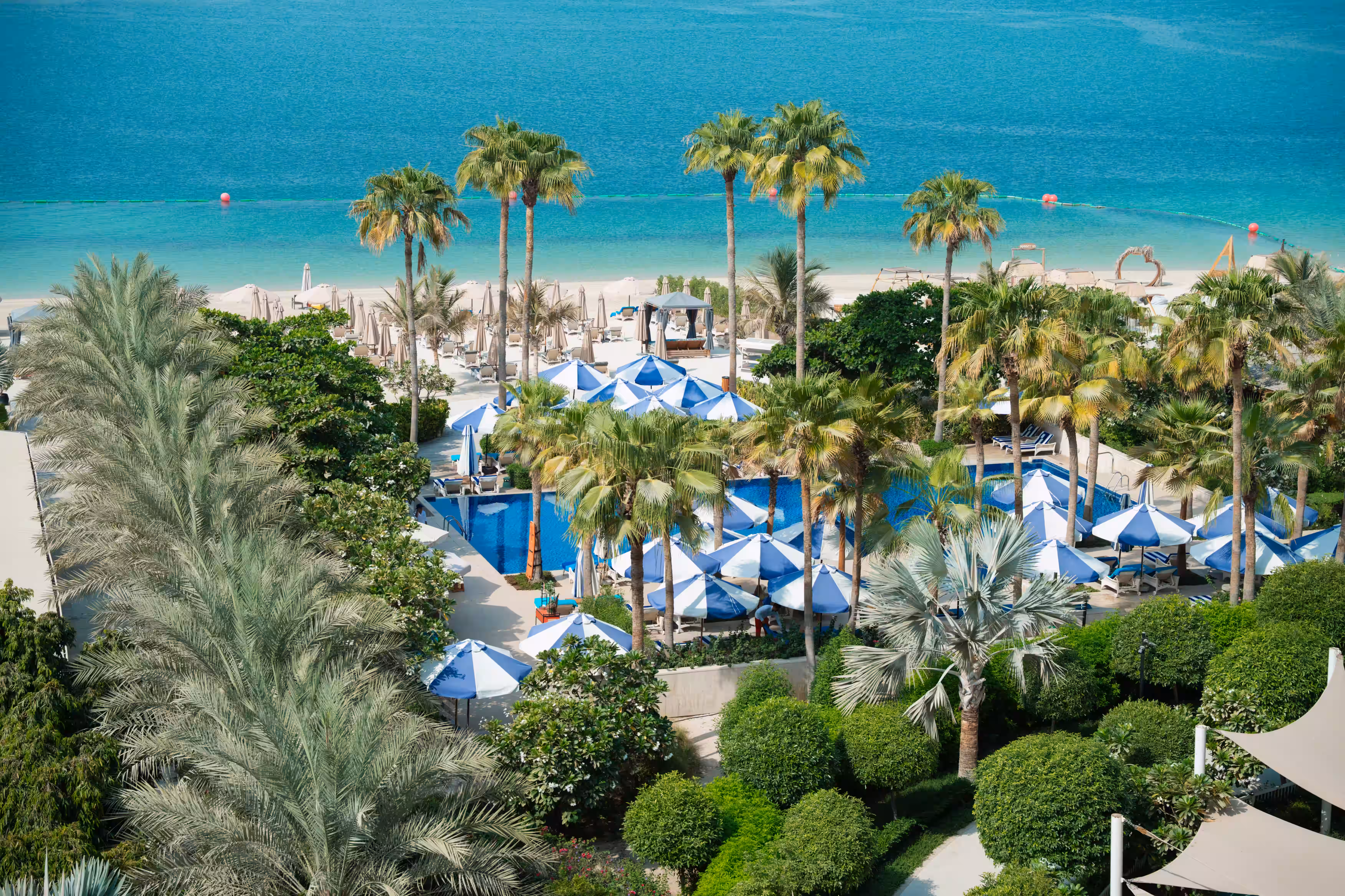 Palm Staycation