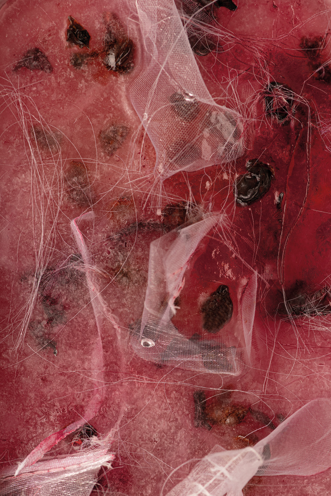 Iced Peach and Mango Tea