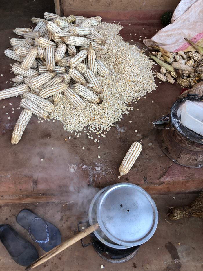 Maize, cooking, Zomba Plateau, Malawi, Africa