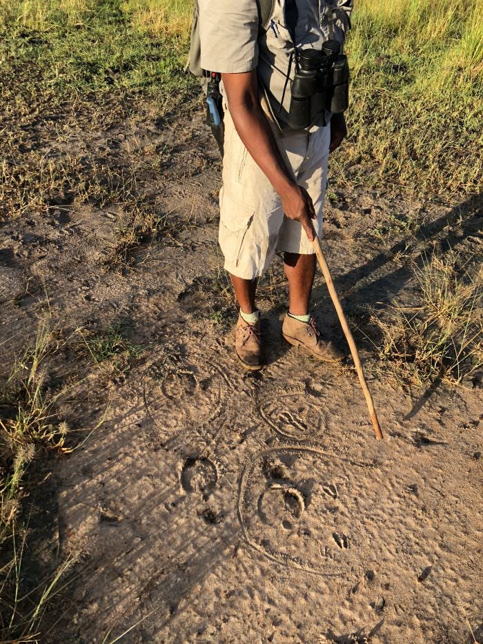 ground, circles, stick, Liwonde Park, Malawi, Africa