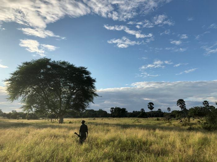 Vista in Liwonde Park, Malawi, Africa