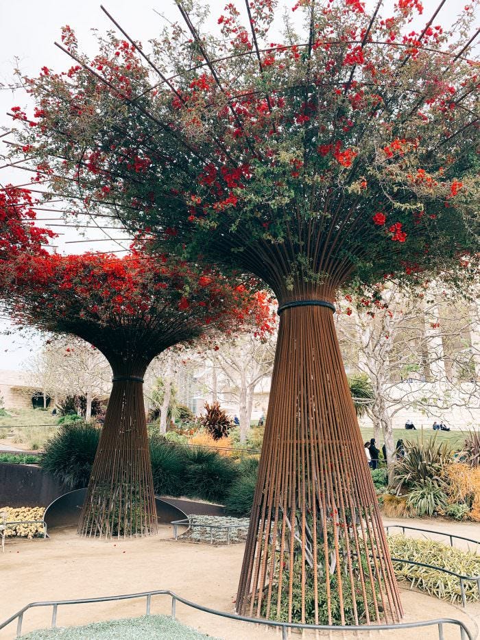 flower trees, california, Getty Museum