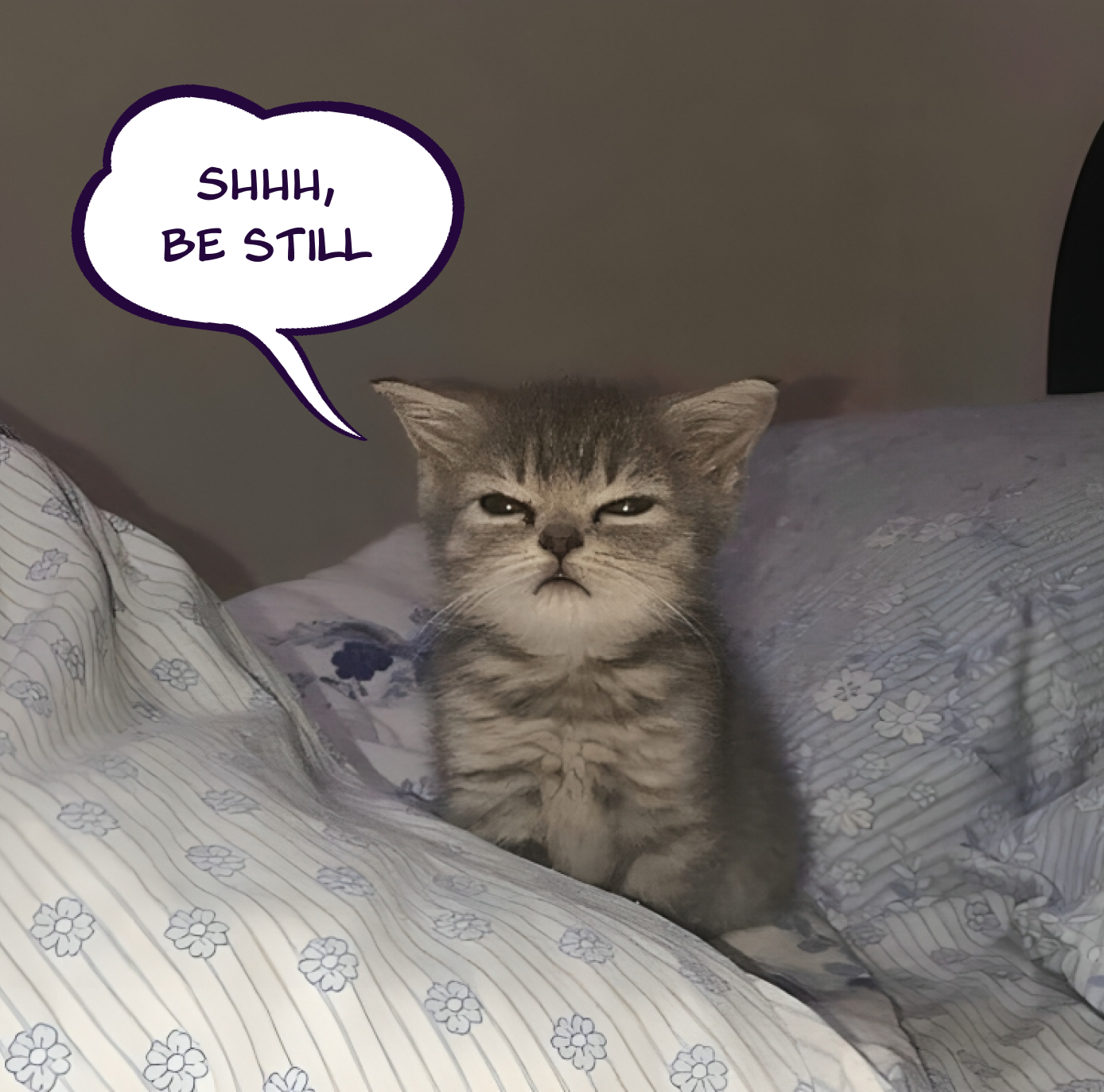 Zzz branded meme design – creative visual content for sleep app identity.