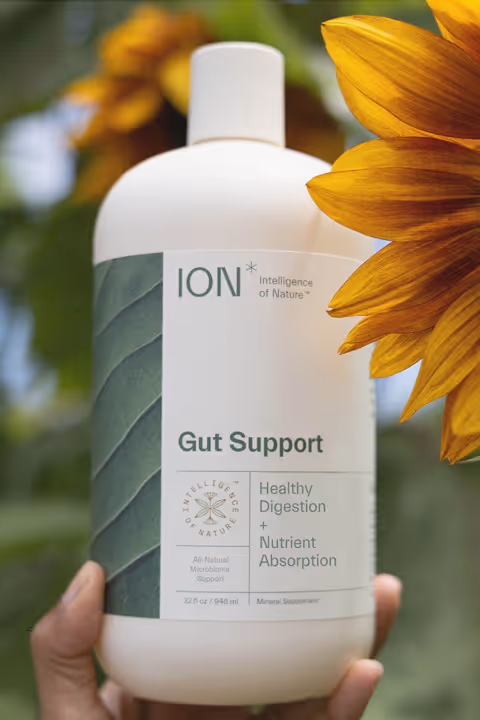 gut support