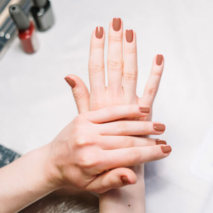 Instagram Salon - Salon X Webflow Template