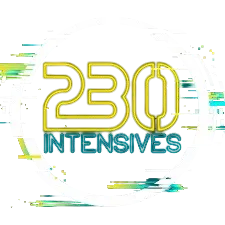 Logo showing number 230 with the word Intensives beneath inside a broken circular outline.