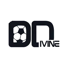 Logo with stylized letters D and N and a soccer ball design integrated in the D.
