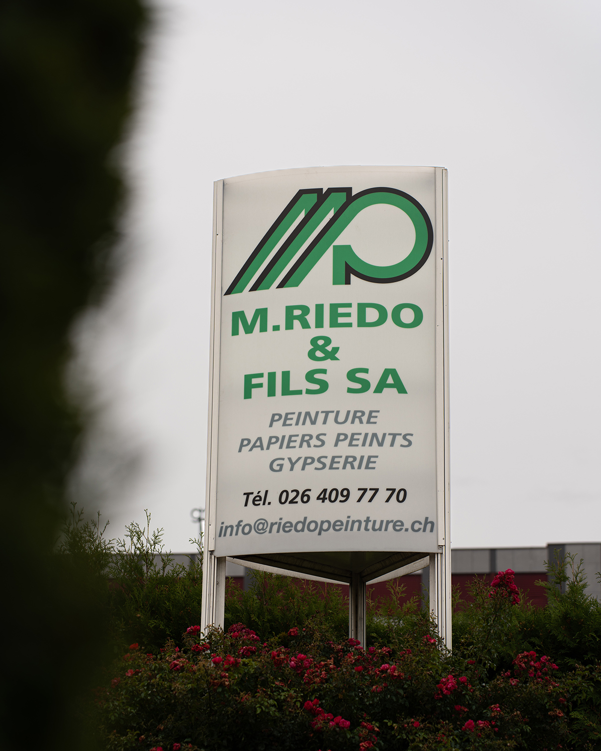 Outdoor sign for M. Riedo & Fils SA advertising painting, wallpaper, and plastering services with contact details.