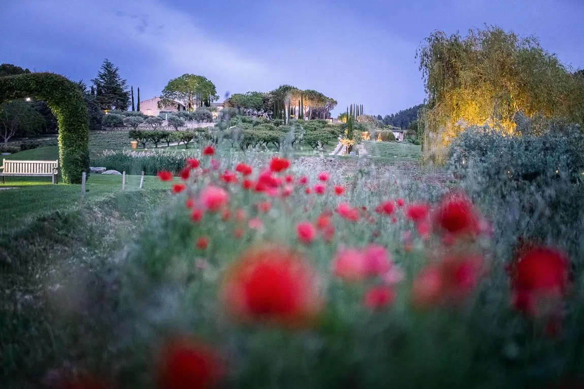 Photographe mariage Provence — couple dans les champs de lavande du Luberon