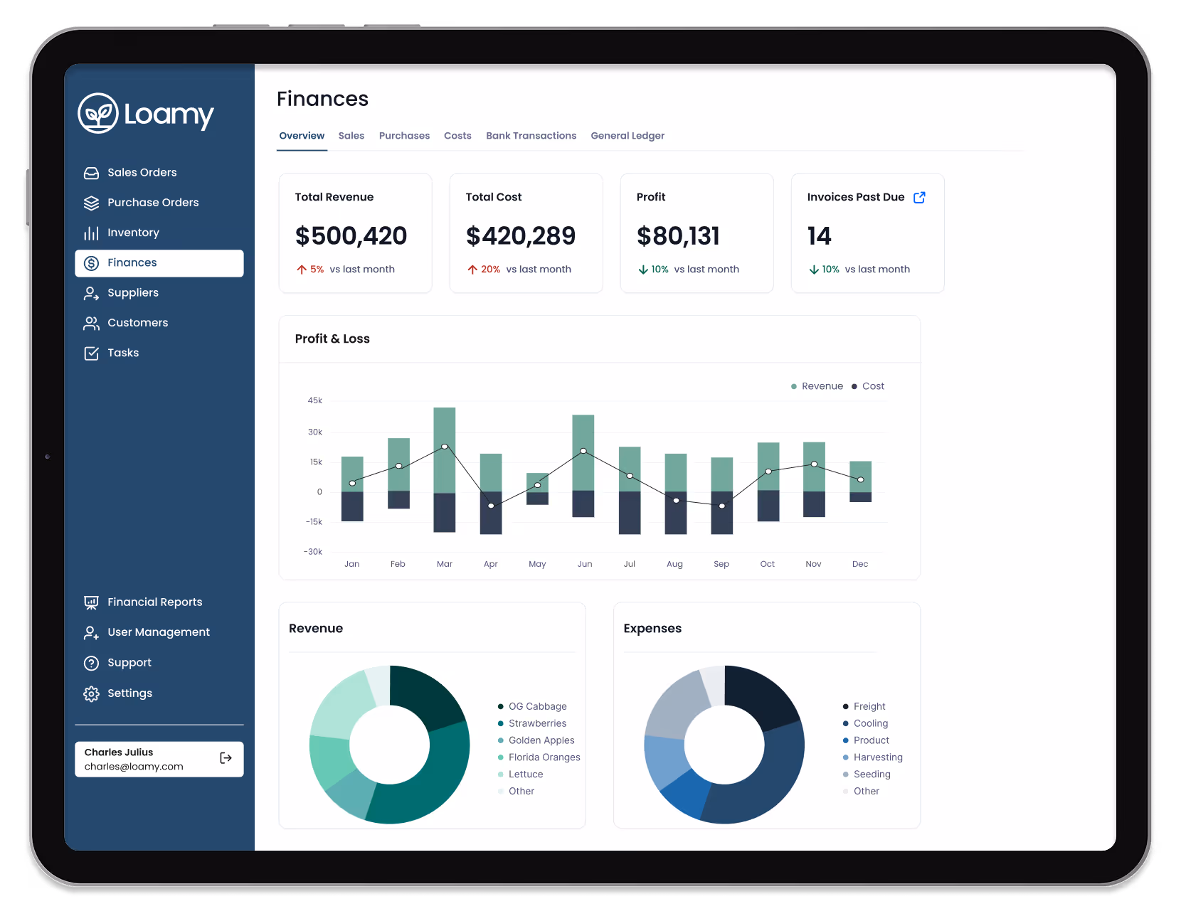 Tablet screen showing Loamy finance dashboard with total revenue $500,420, total cost $420,289, profit $80,131, invoices past due 14, monthly profit and loss bar chart, and donut charts for revenue and expenses categories.