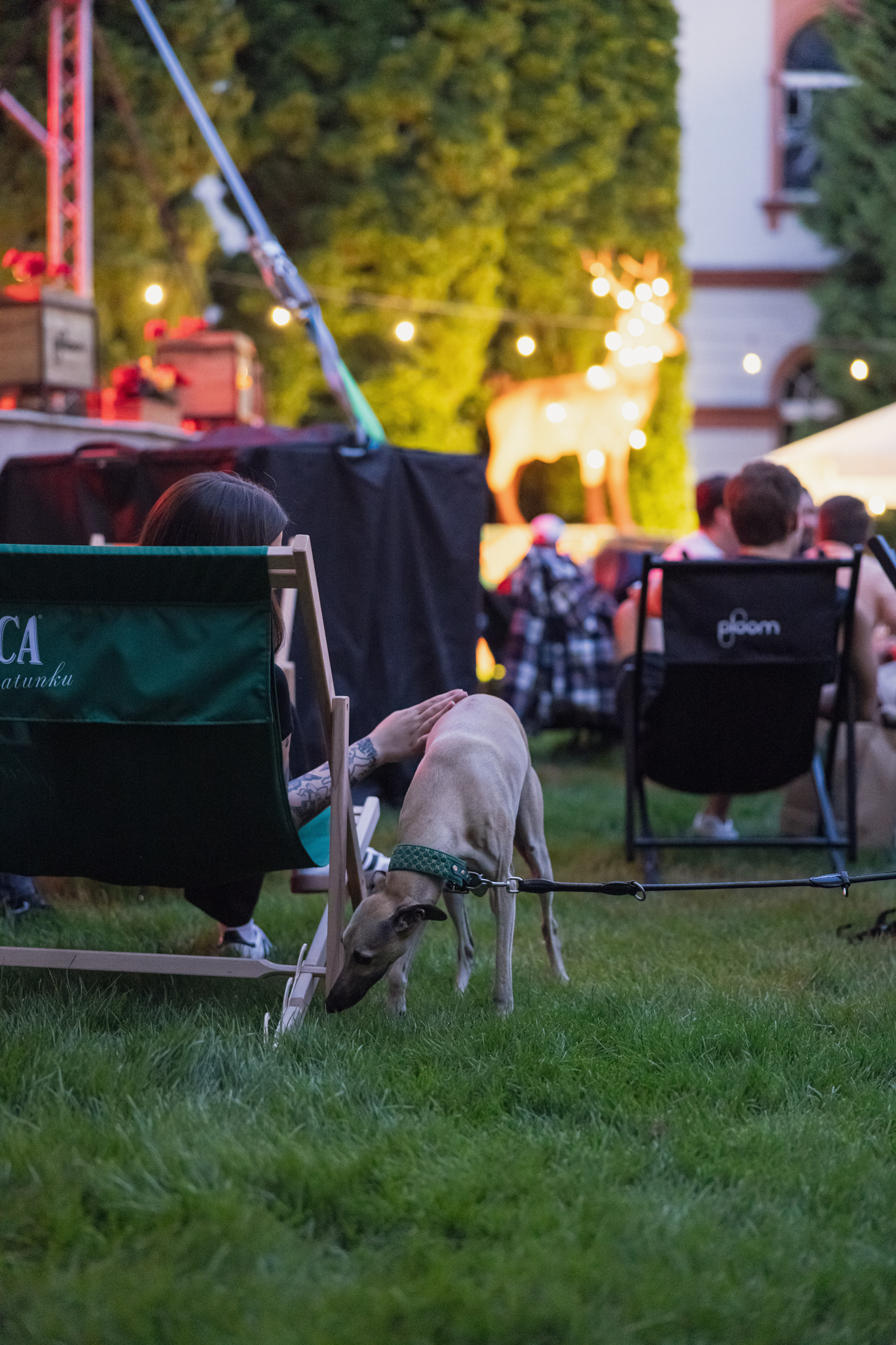 Young diverse couple having lunch with junk food