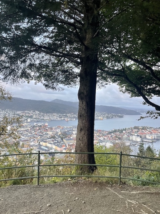 Ecotrail Bergen - vakker og hard løype