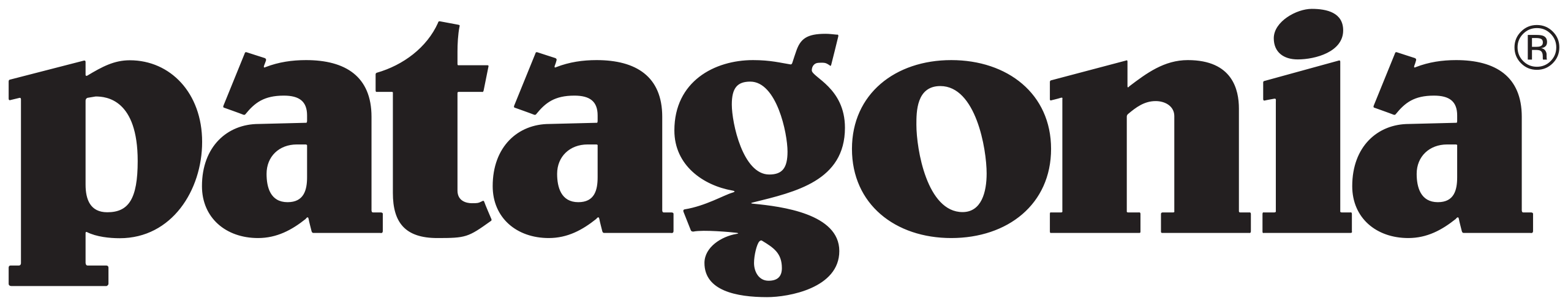 patagonia Logo
