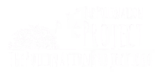 the pollution project logo
