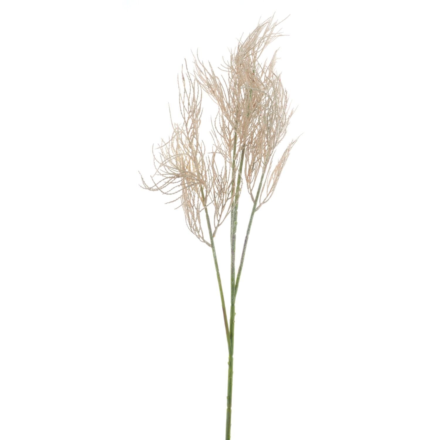 Kunsttak Varenzo fern beige