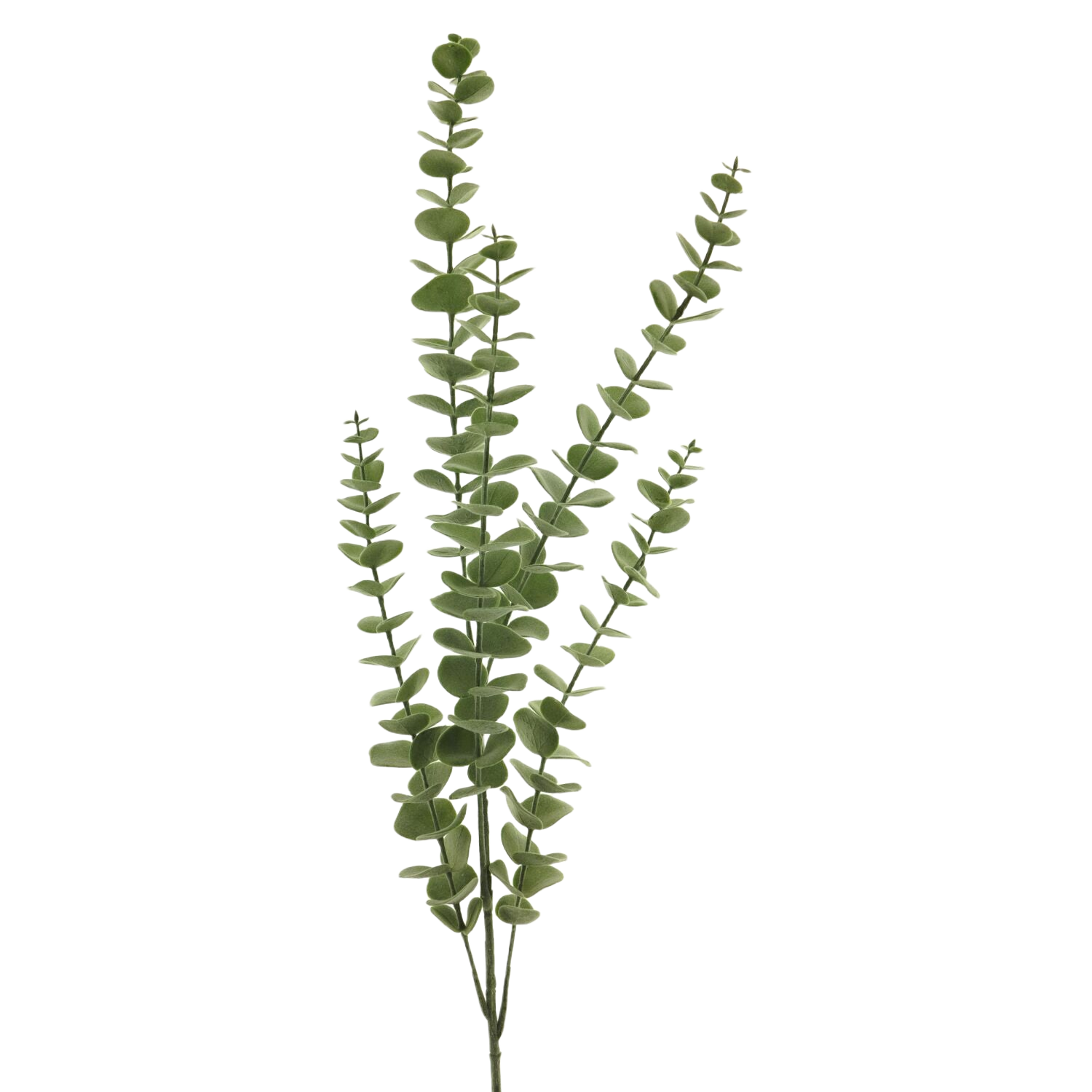 Kunsttak Mandivo eucalyptus groen