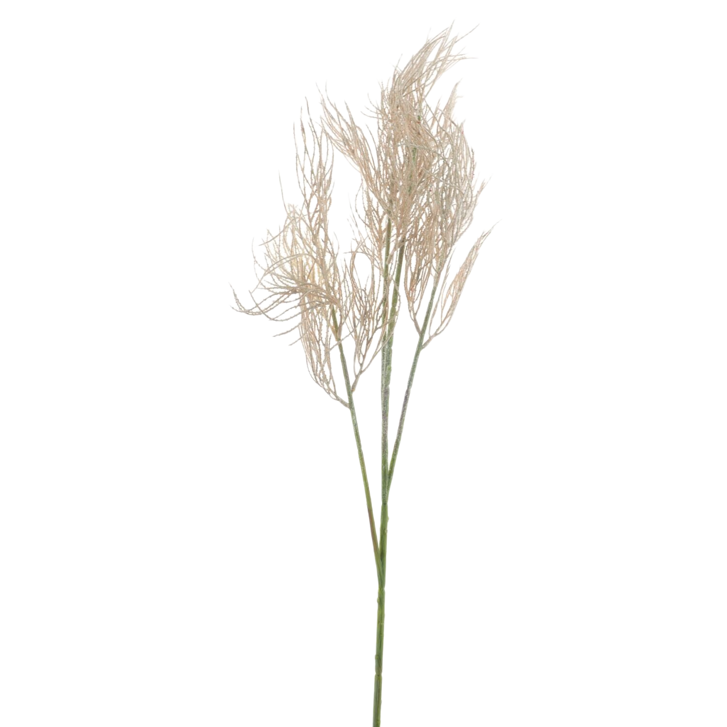 Kunsttak Varenzo fern beige