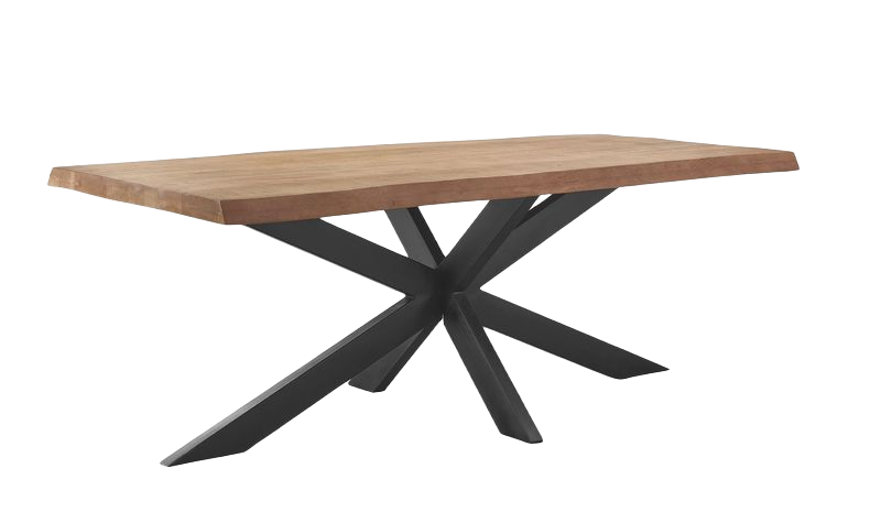 Eettafel Newhaven mangohout 200x100 cm rechthoekig