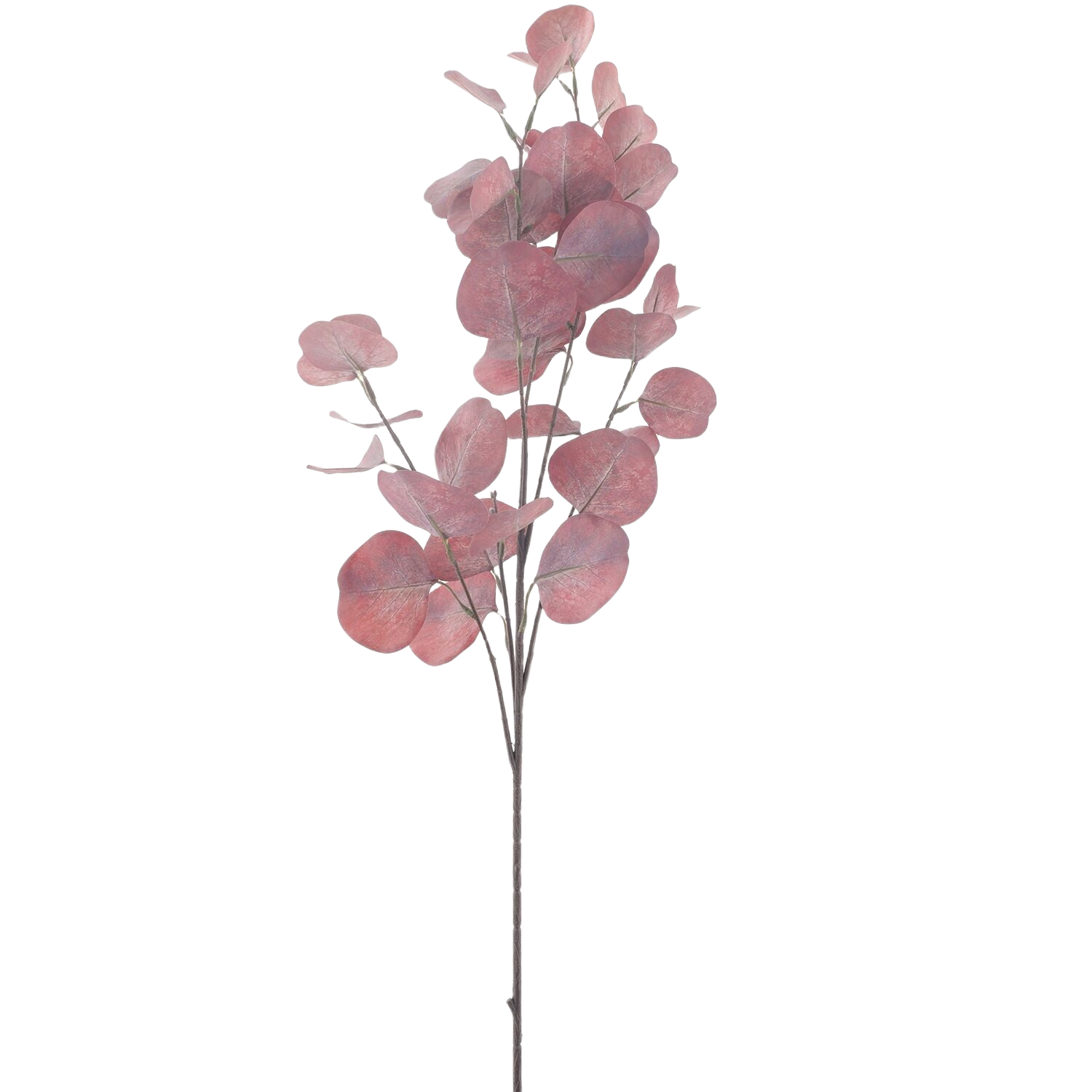 Kunsttak Eucalyptus roze