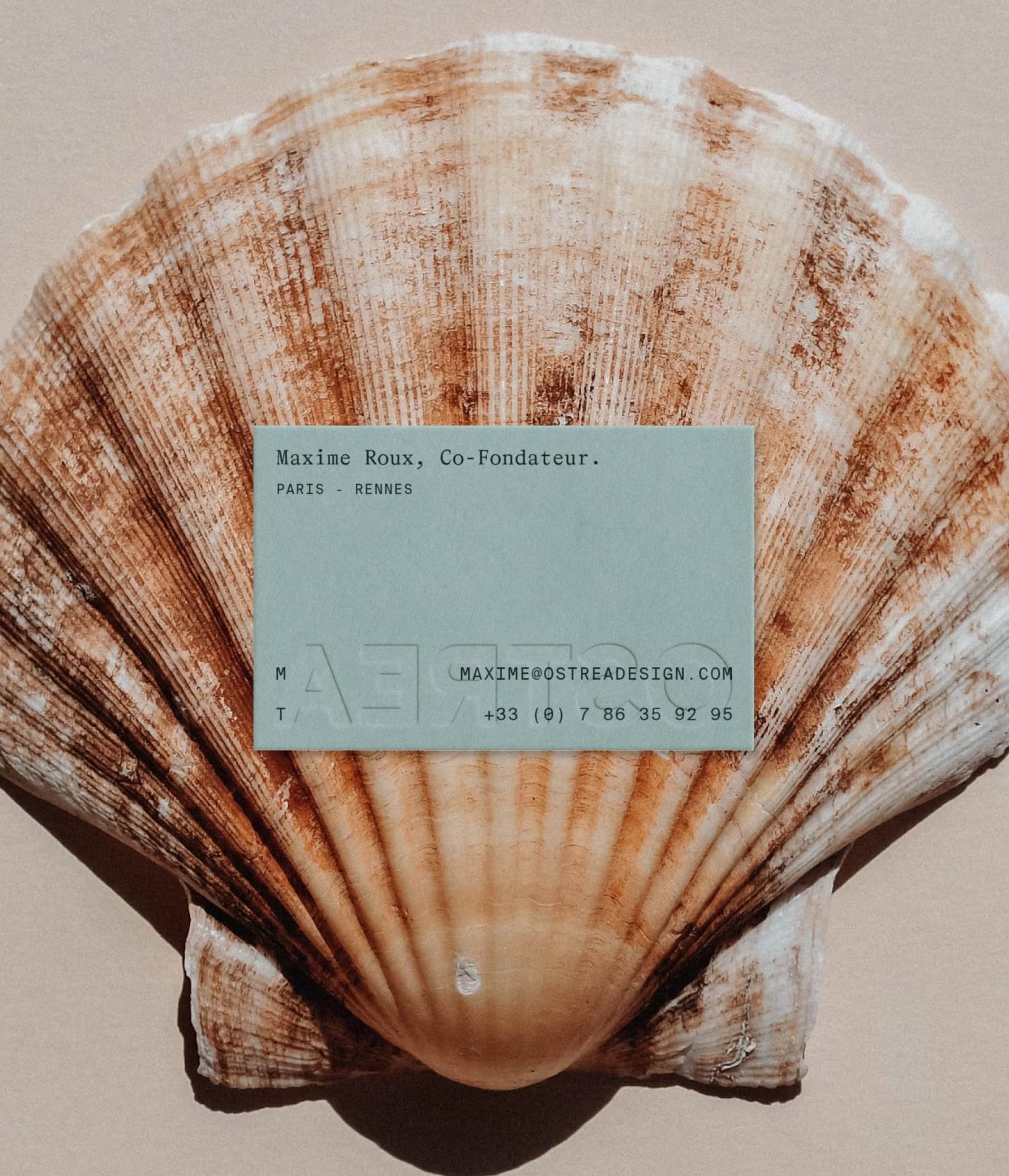 Business card design for Ostrea, materials from the sea brand