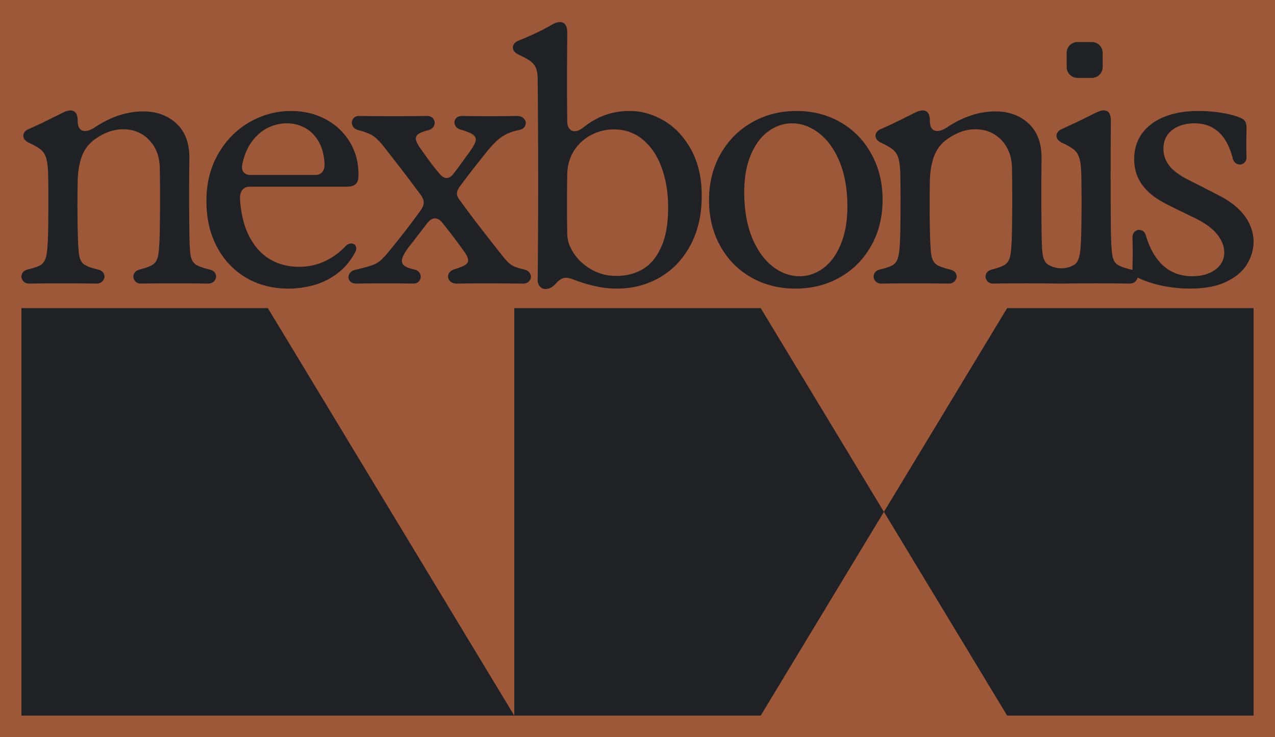 Logotype and monogram design for Nexbonis, business advisers network