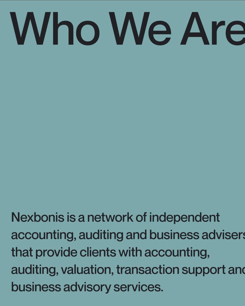 Typography focus for Nexbonis, business advisers network