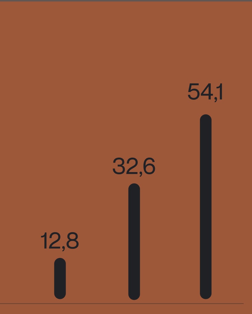 Dataviz and graphics design for Nexbonis, business advisers network