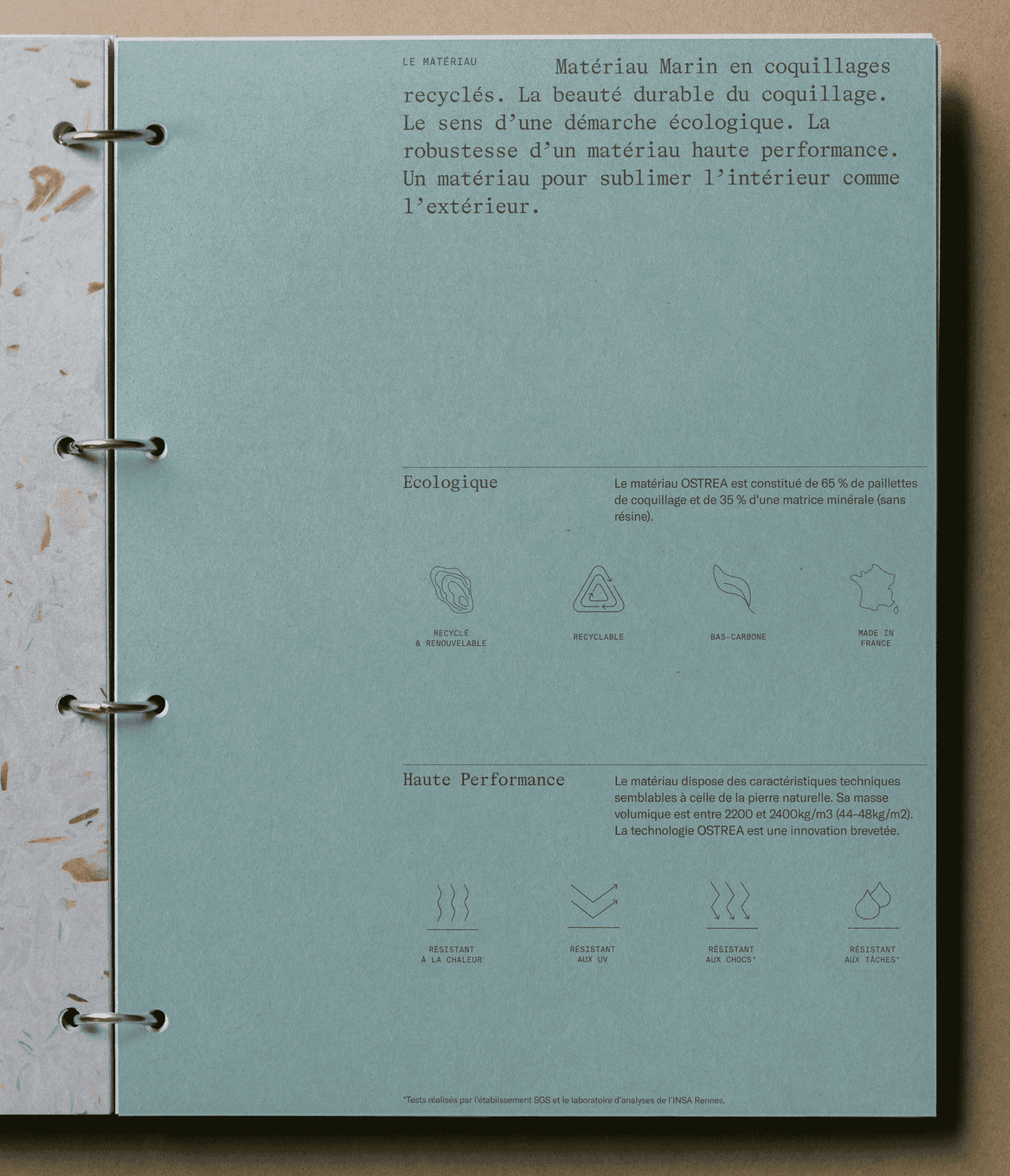 Inside the catalog page design for Ostrea, materials from the sea brand