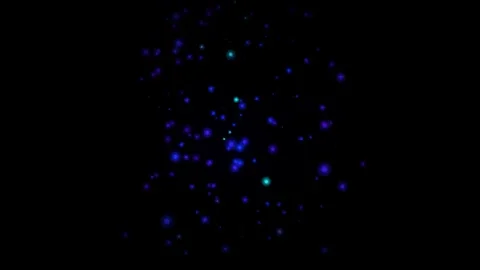 button hover animation