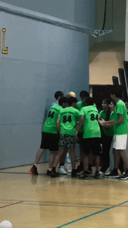 Sakhi Sikhia vision statement GIF