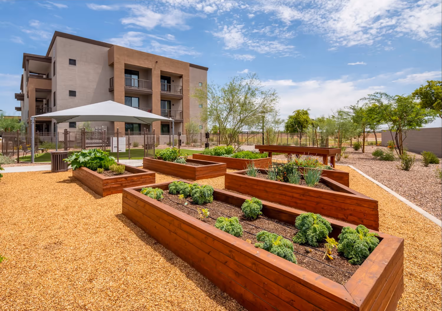 community garden