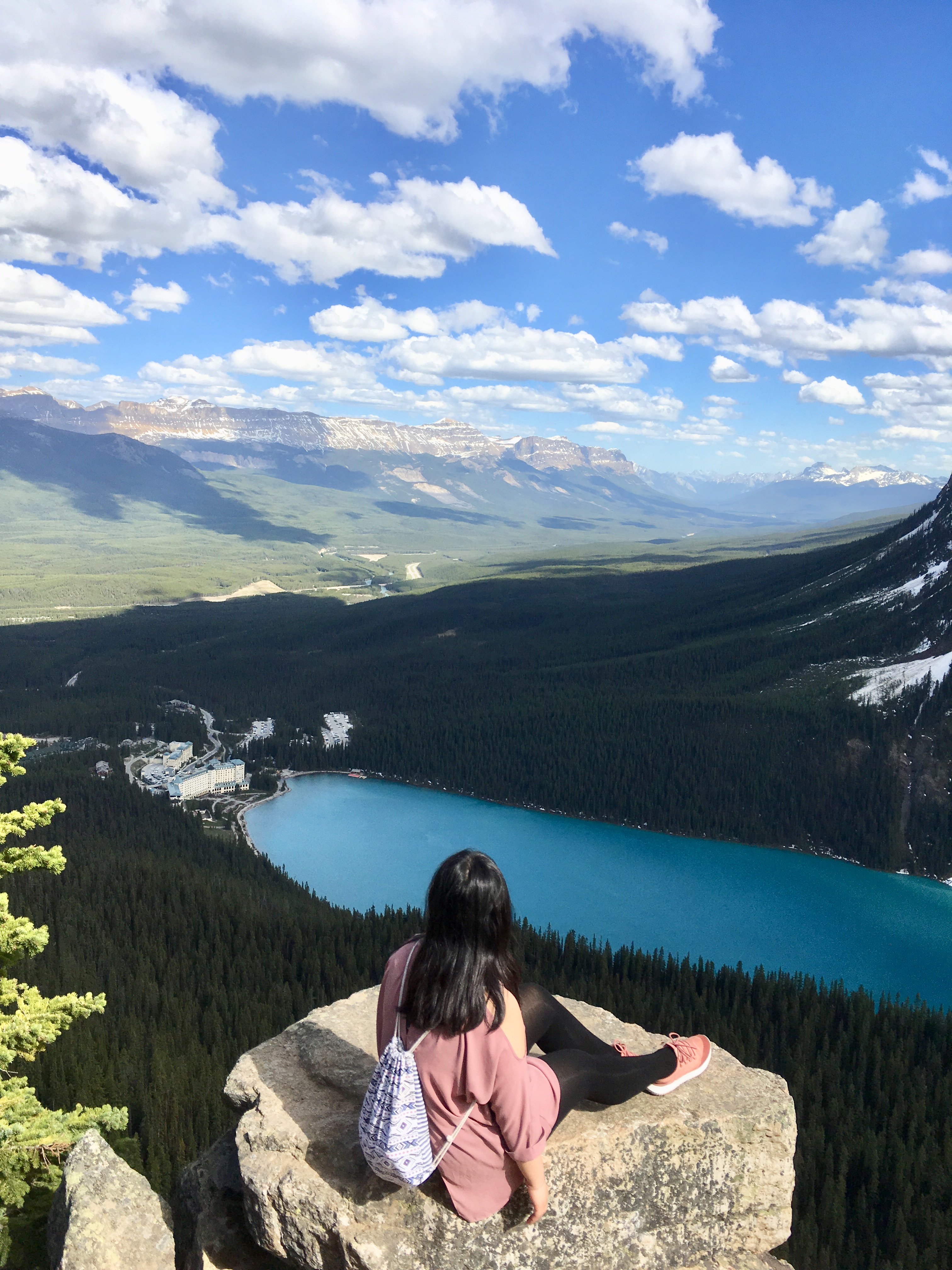 Iris in Alberta