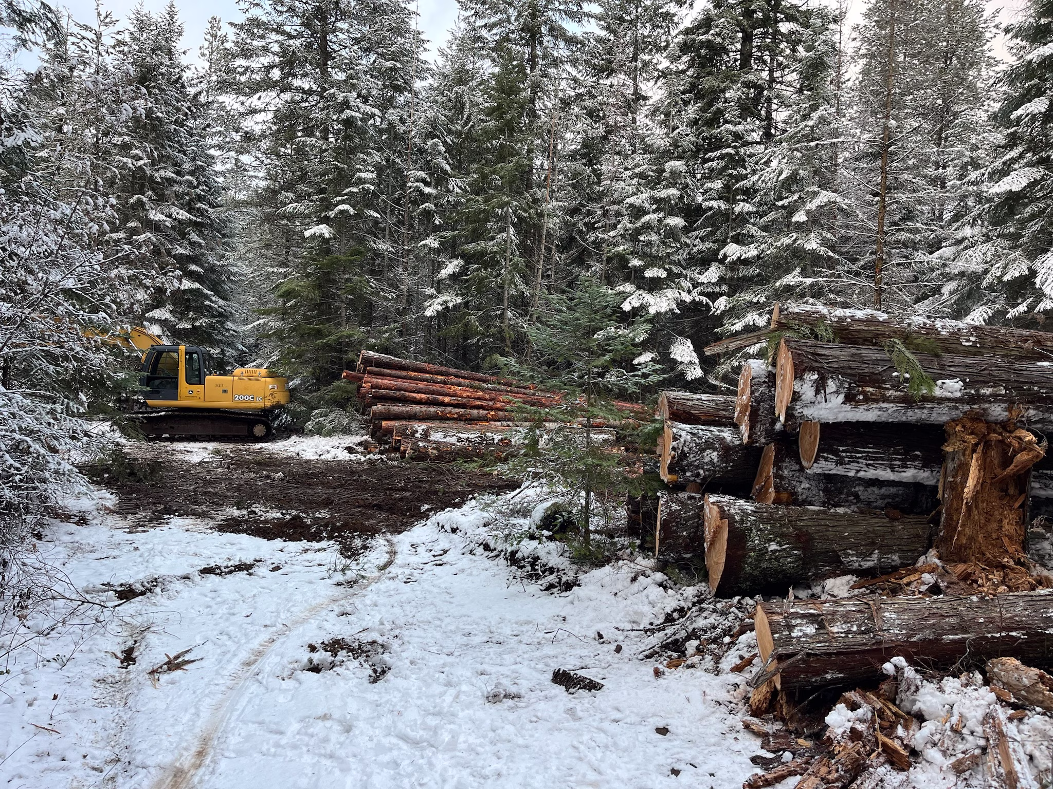 Logging Spirit Lake, ID