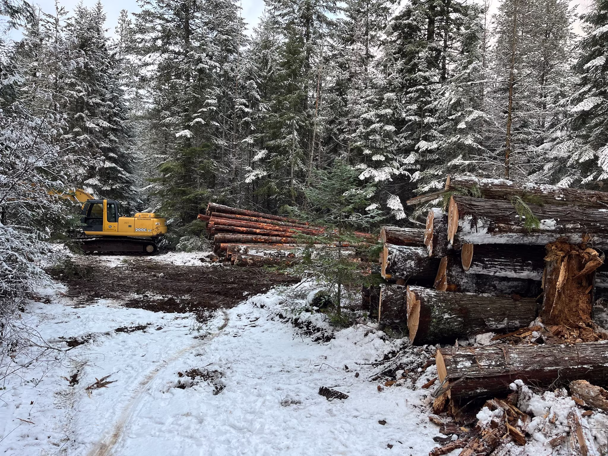 Wildfire Prevention Spirit Lake, ID