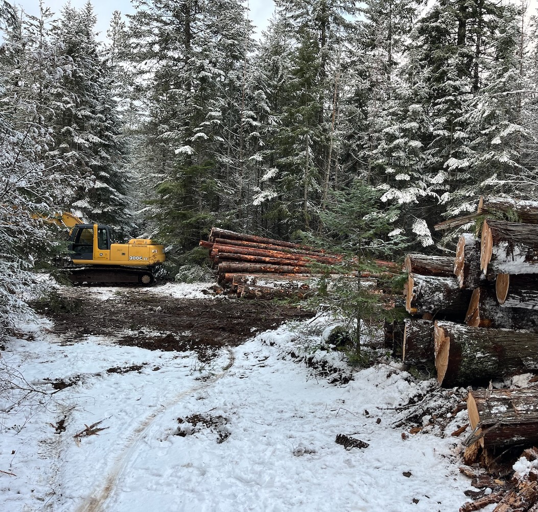 Commercial Tree Service