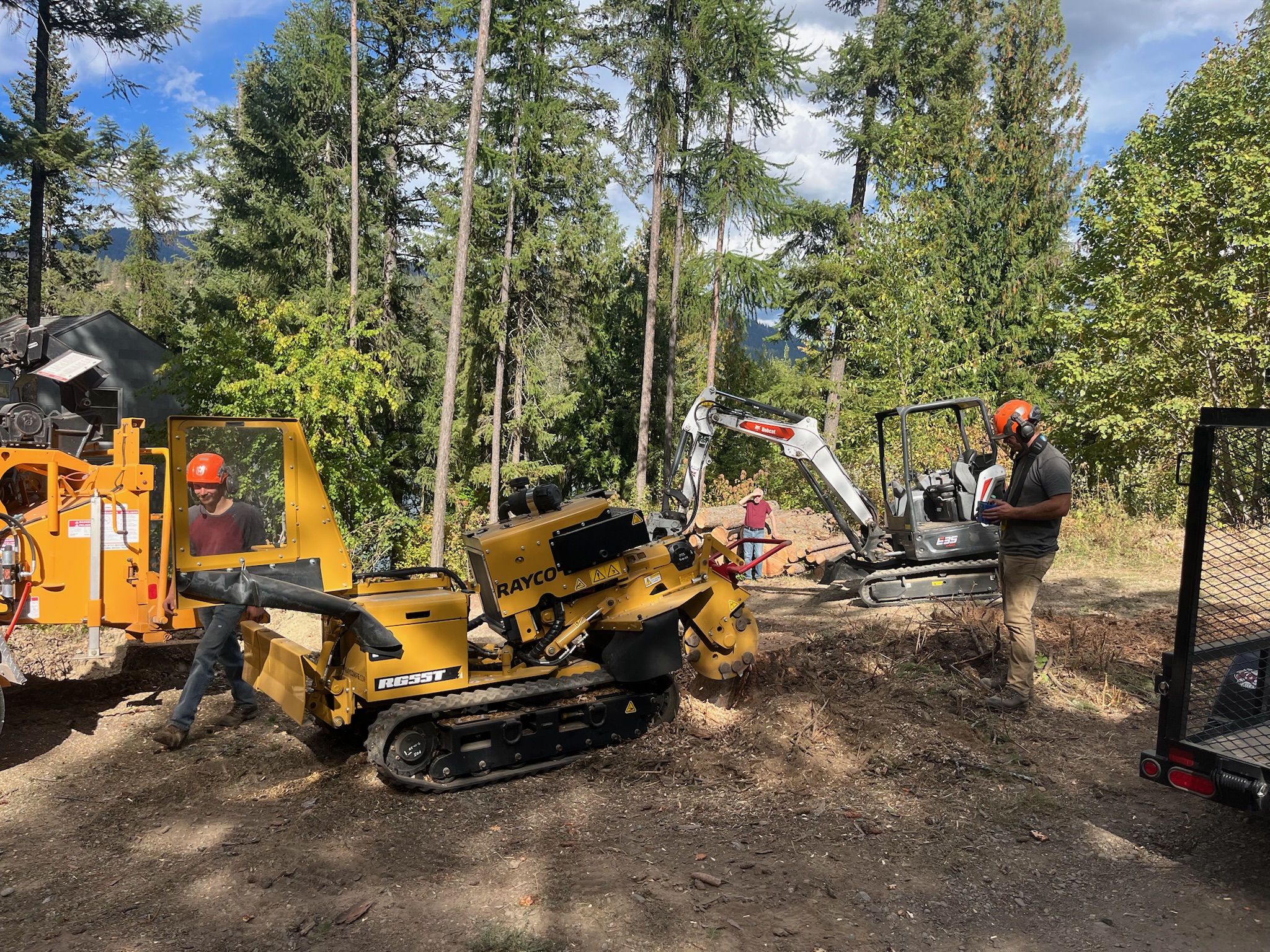 Stump Grinding & Removal in North Idaho