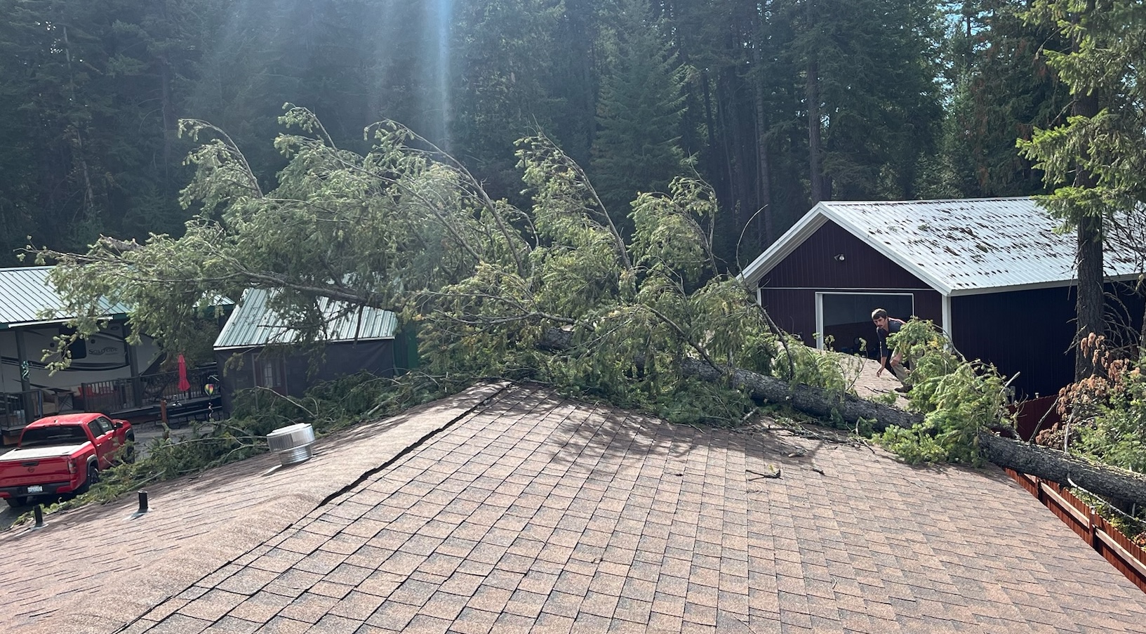 Emergency Tree Service in North Idaho