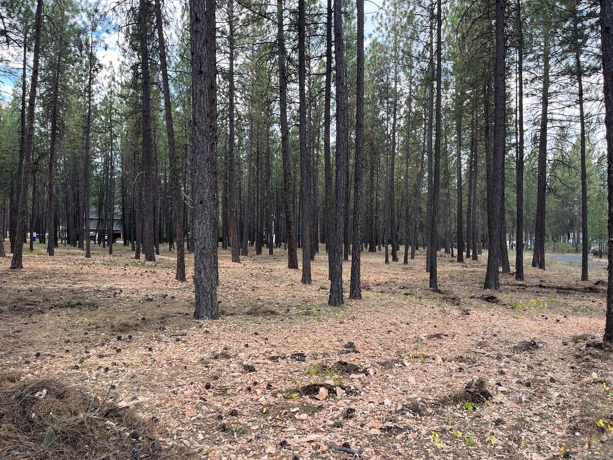Wildfire Prevention in North Idaho