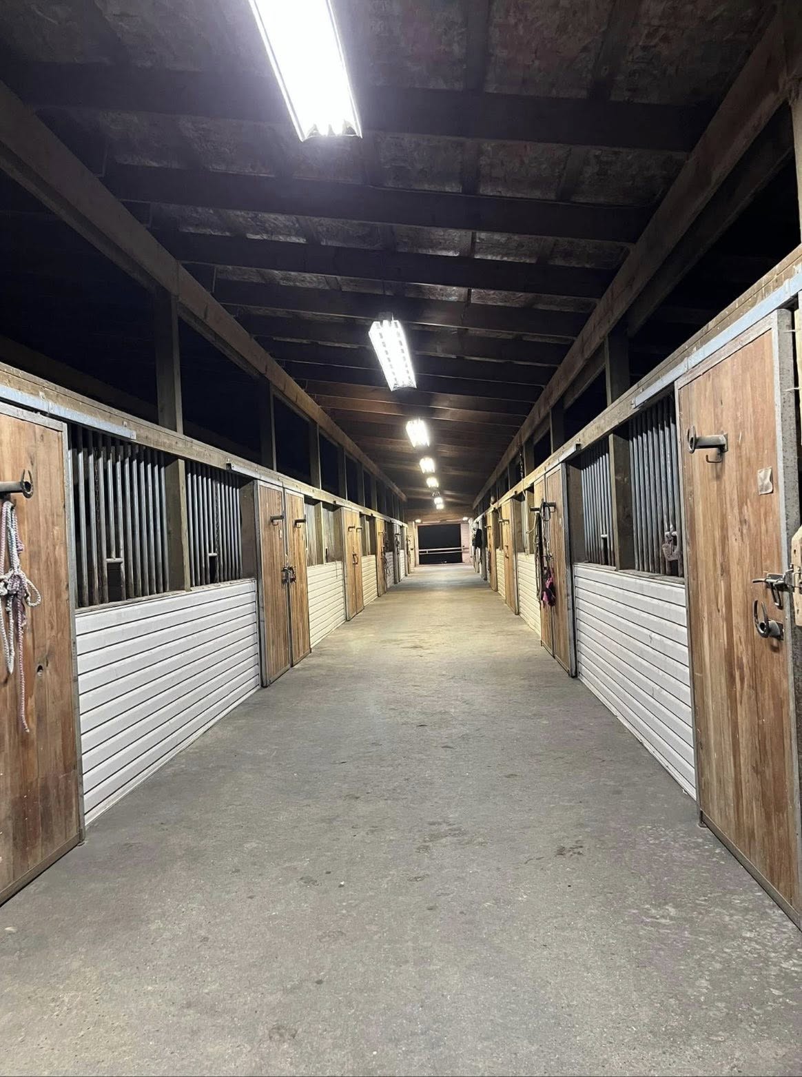 image of assortment of grocery products