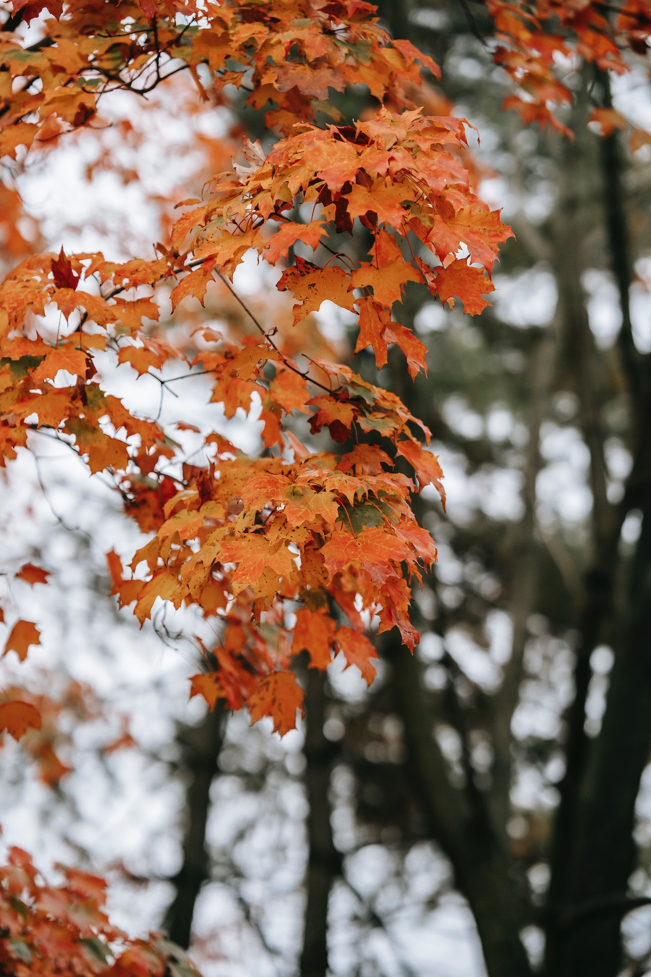how to decorate my home for fall