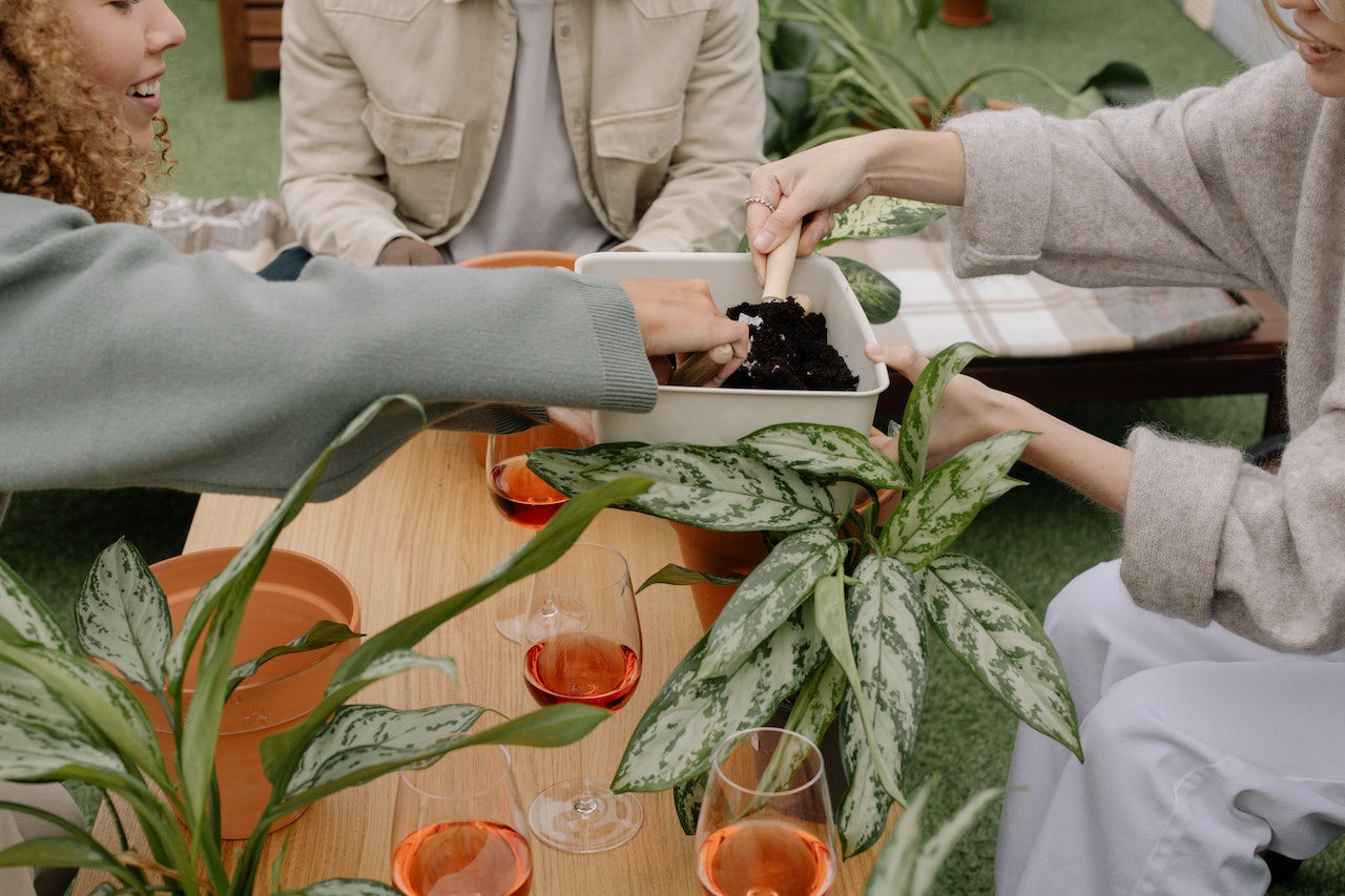 how to celebrate earth day 2023