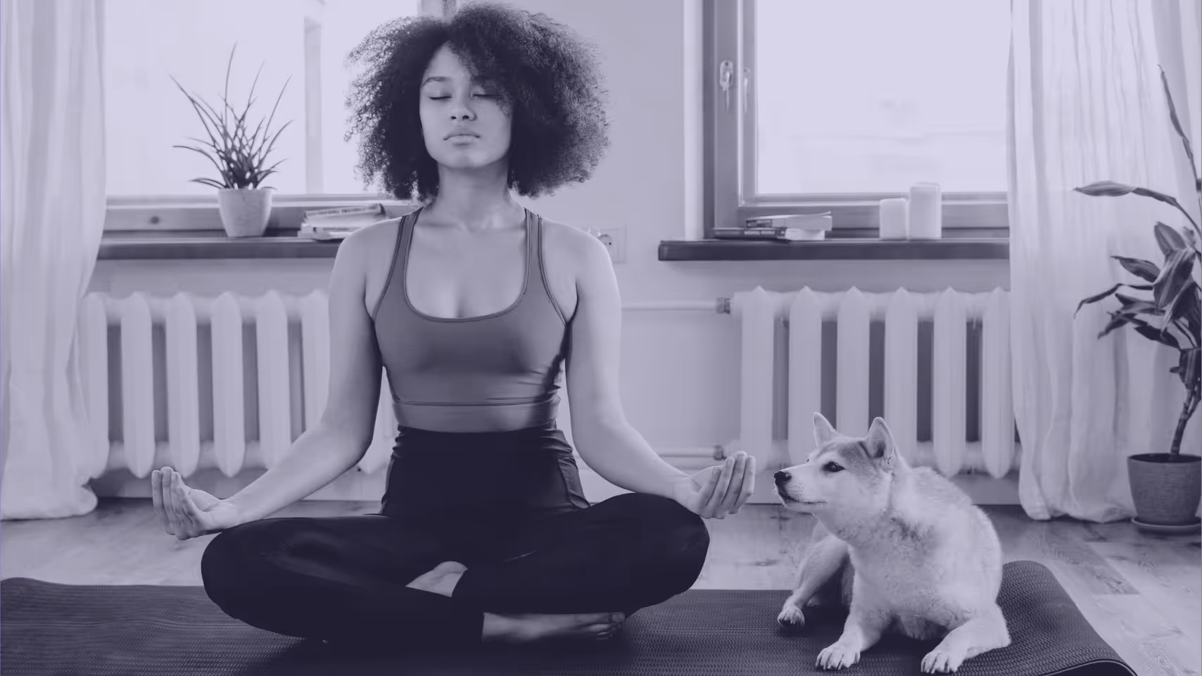person meditating with a dog